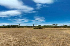 Blissful Land Libertad Lot For Sale in Libertad, Daanbantayan