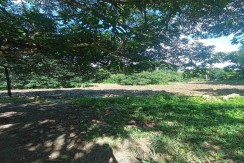 Lot For Sale In Danao City, Cebu