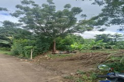 Lot For Sale In San Remigio Medillen North Cebu